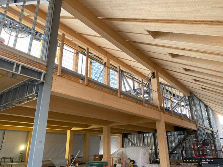 Limberlost Case Study: A Pioneering Mass Timber Project